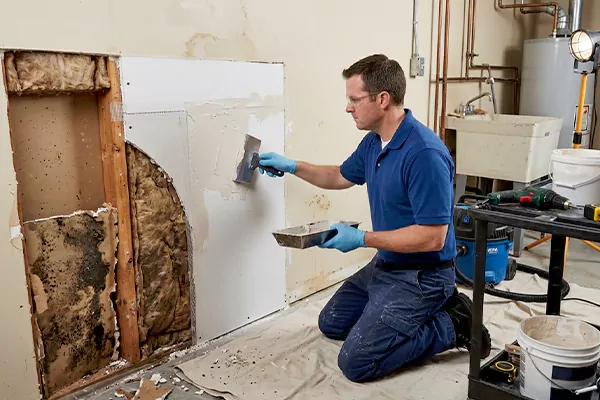 Mold and Drywall Repair Rialto