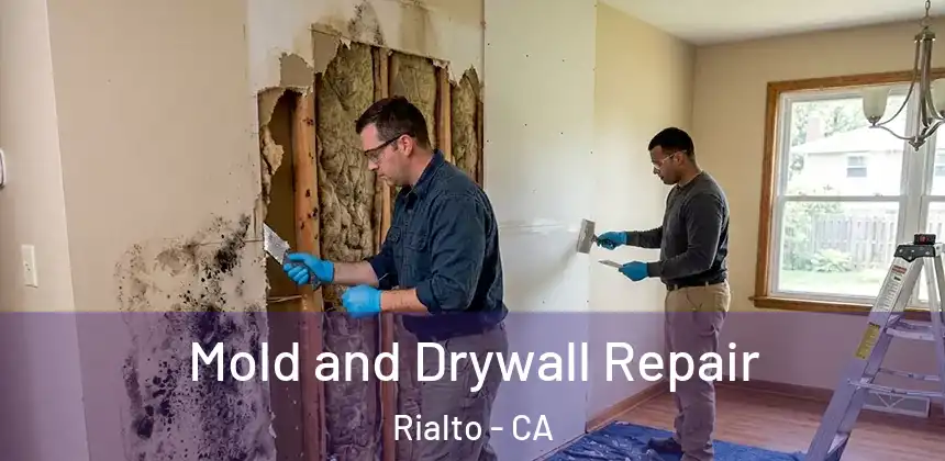  Mold and Drywall Repair Rialto - CA
