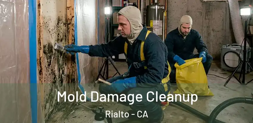 Mold Damage Cleanup Rialto - CA