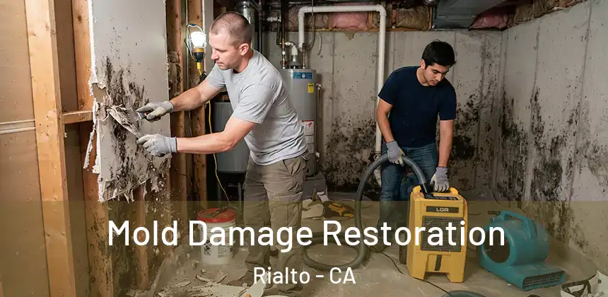 Mold Damage Restoration Rialto - CA